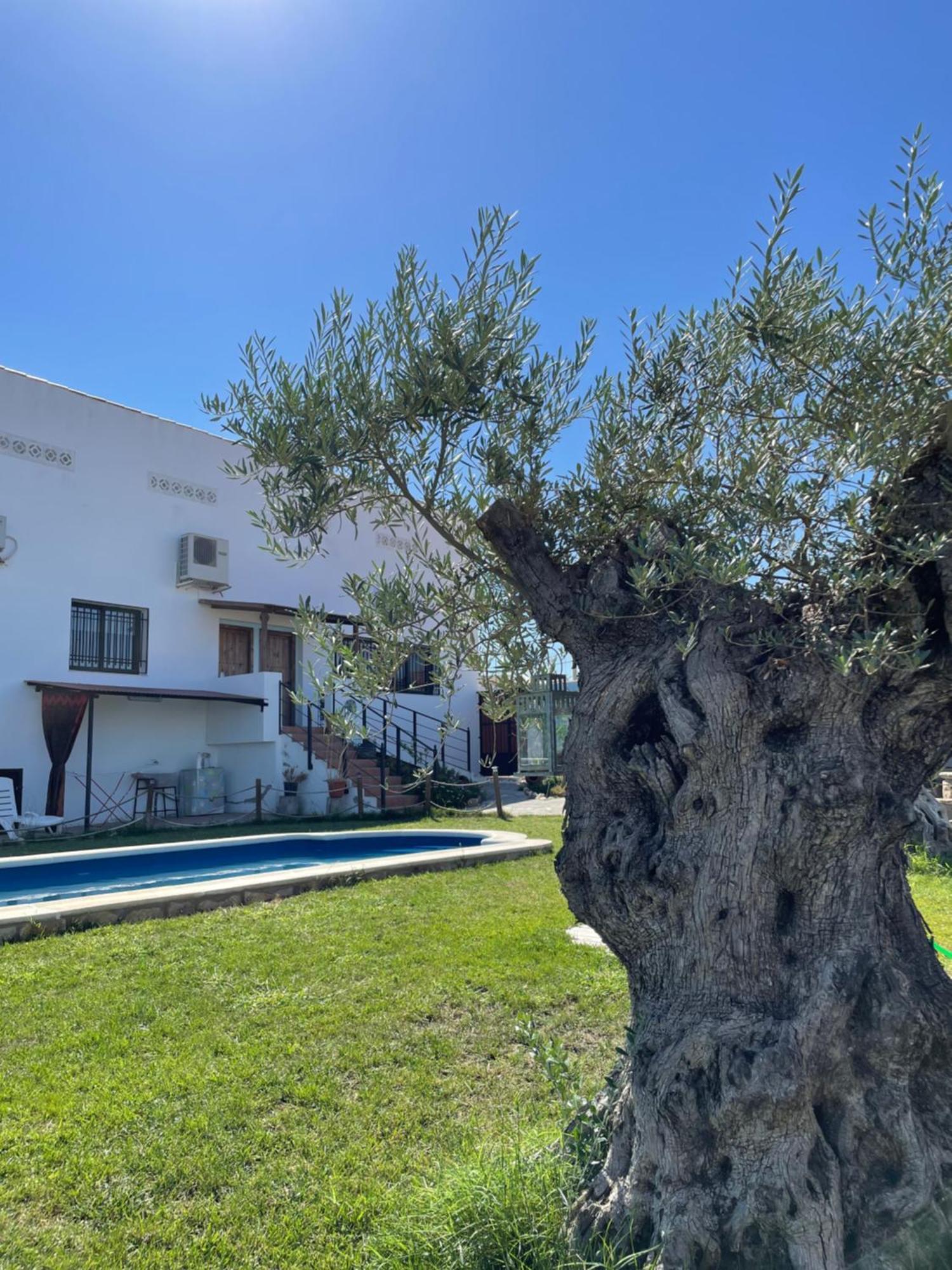 Villa Casa Rural El Miajon à El Campo  Extérieur photo
