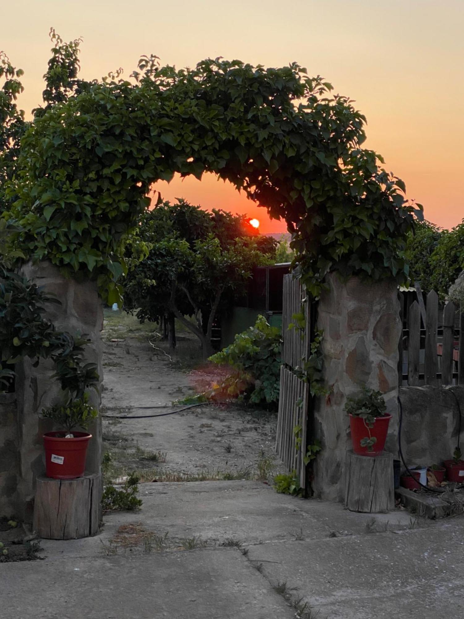 Villa Casa Rural El Miajon à El Campo  Extérieur photo